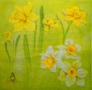 101 Daffodils - 3 ply